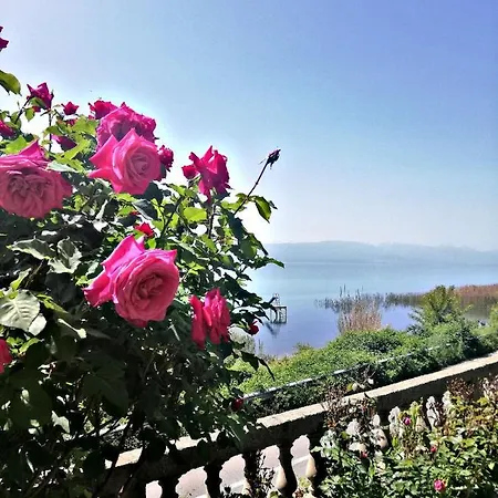 Villa Stefan Ohrid Exterior photo